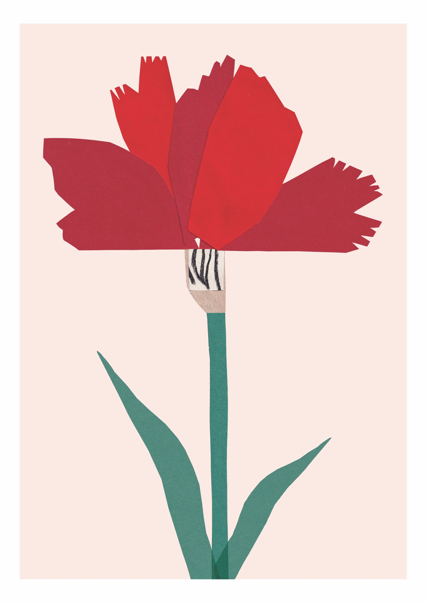 Carnation A4 Print