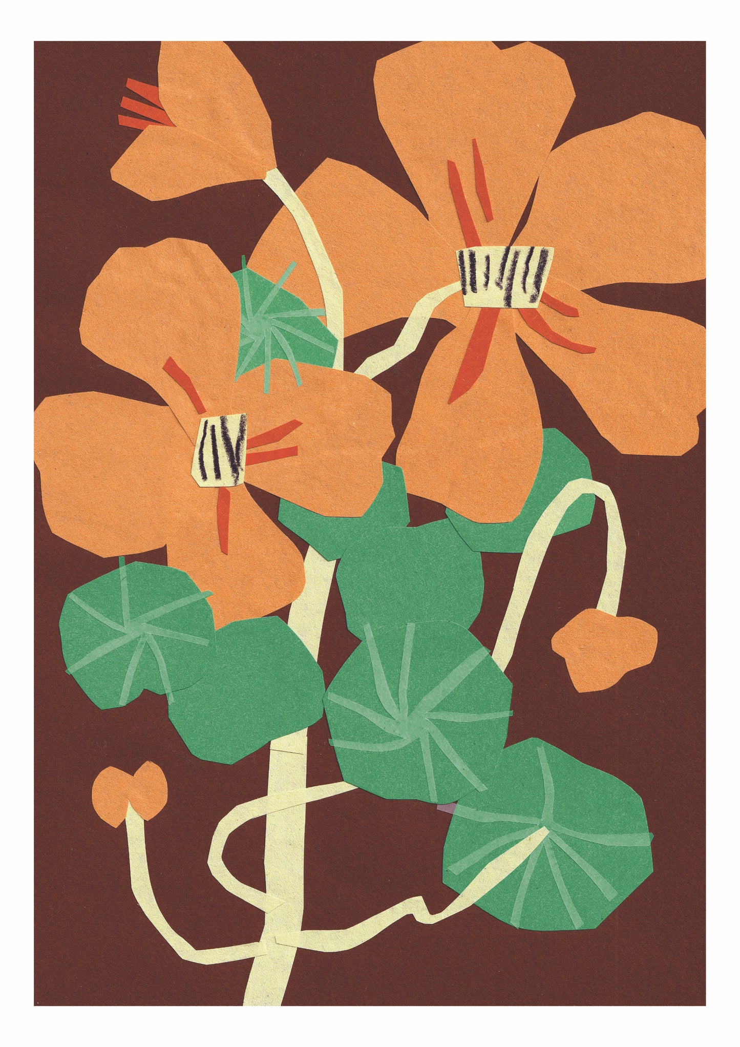 Nasturtiums A4 Print