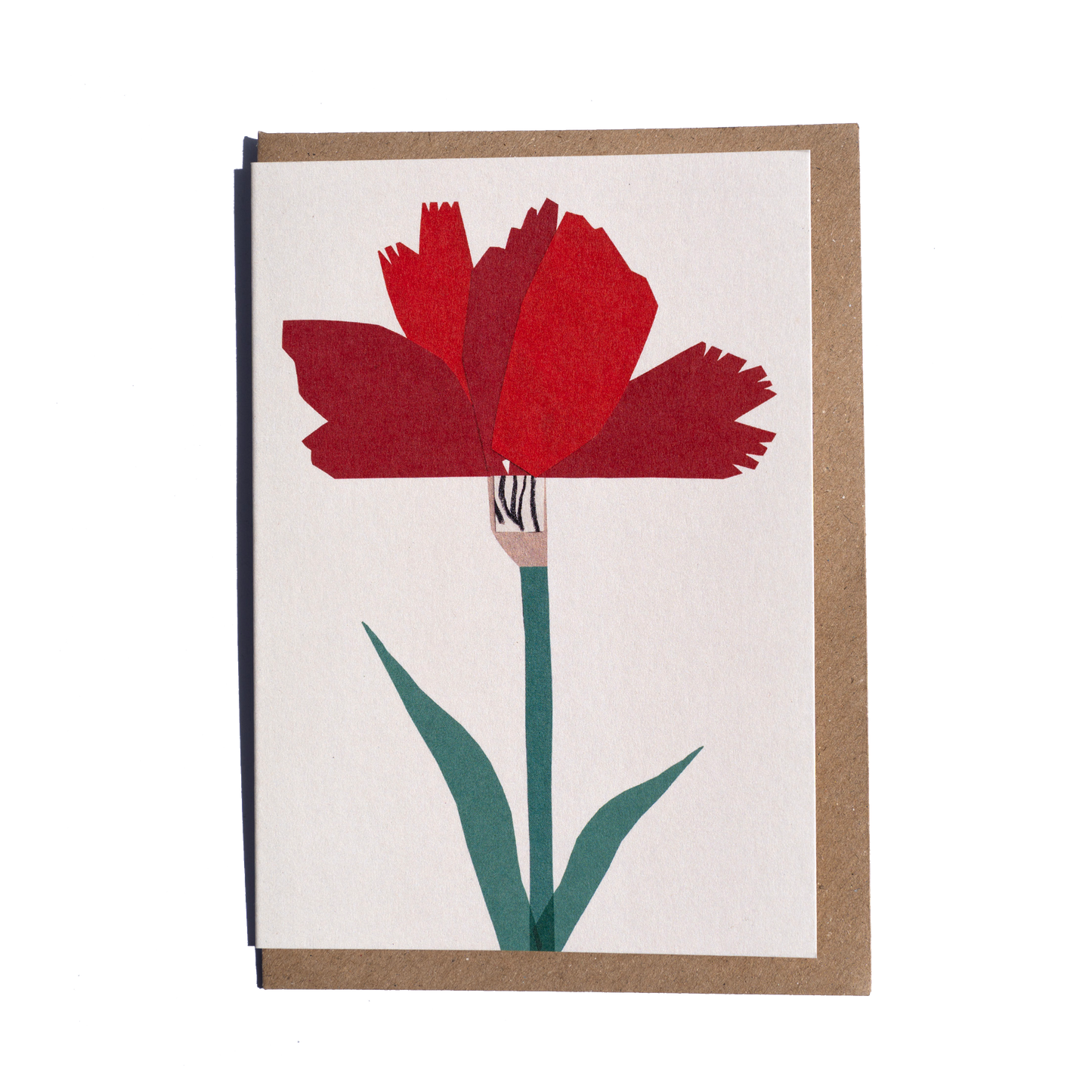 Carnation Greetings Card