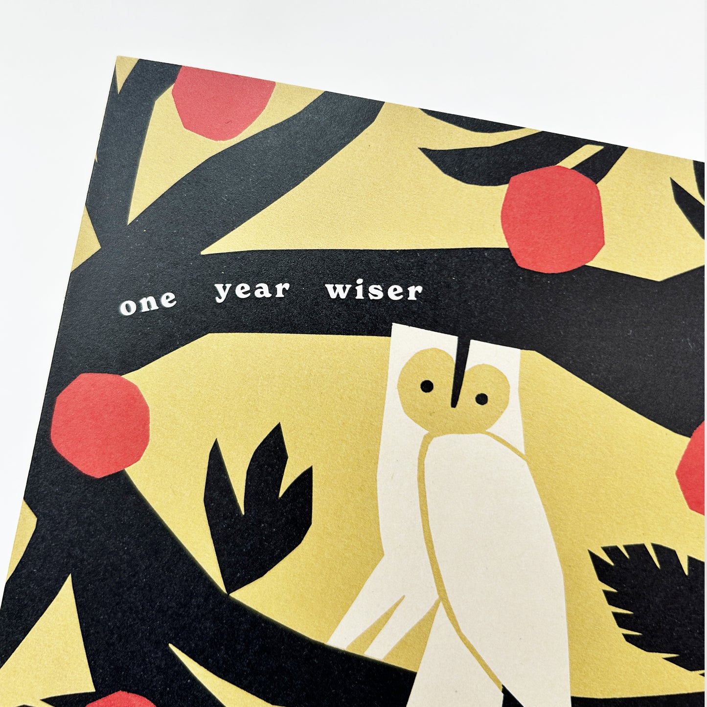 One Year Wiser Owl Greetings Card