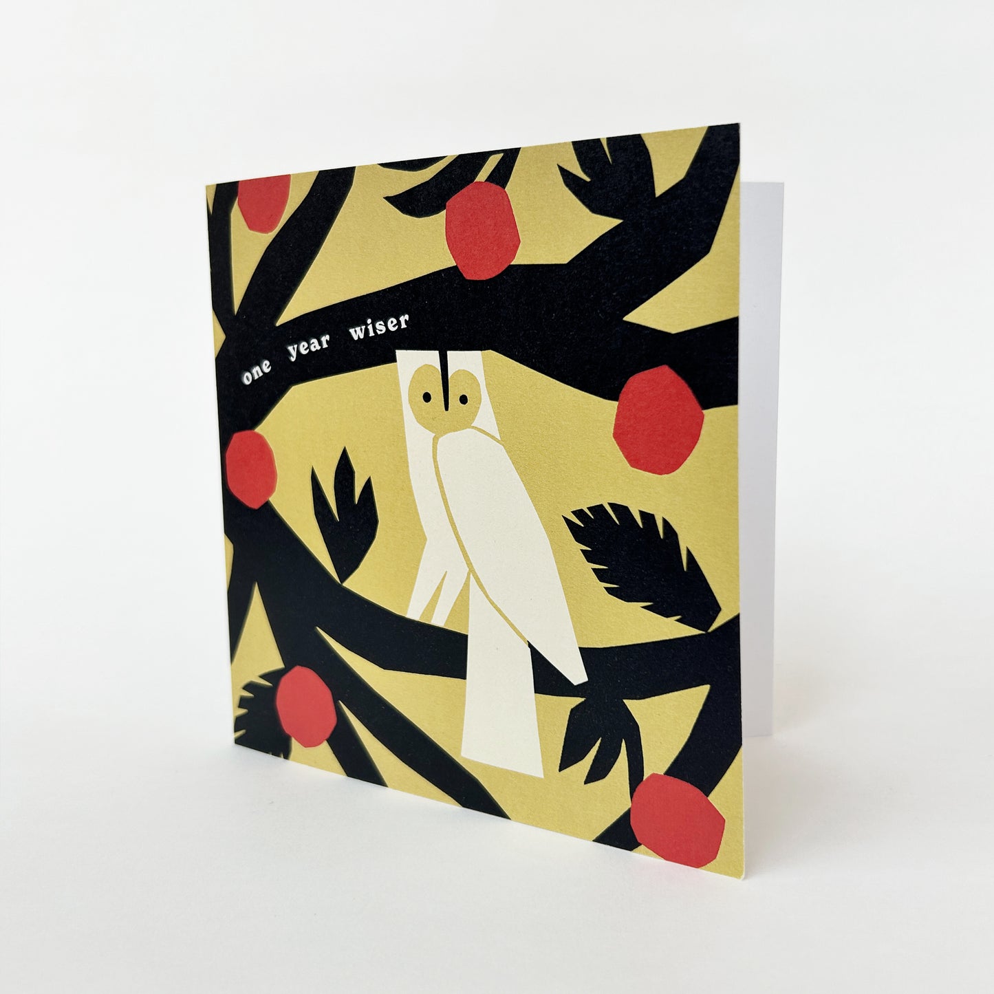 One Year Wiser Owl Greetings Card