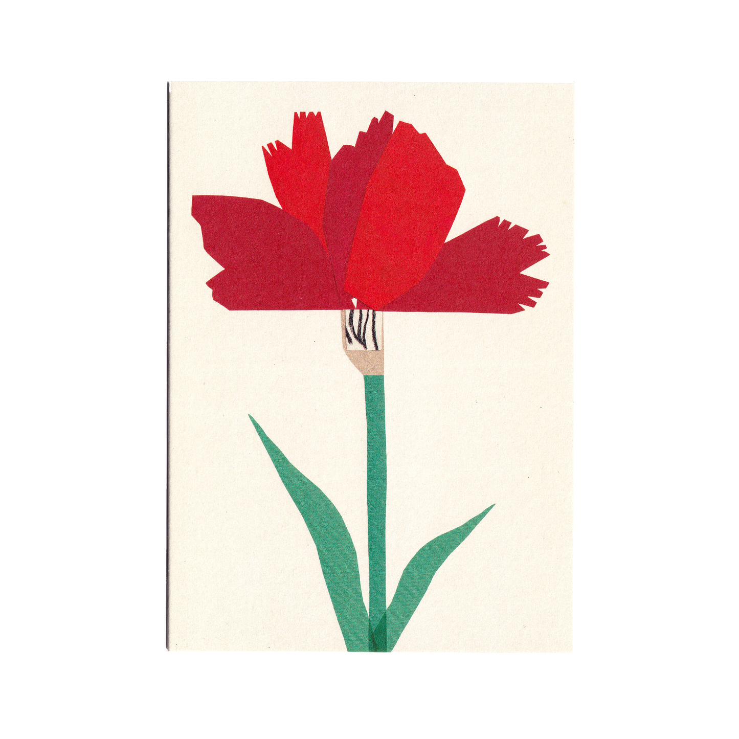 Carnation Greetings Card