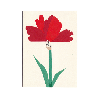 Carnation Greetings Card