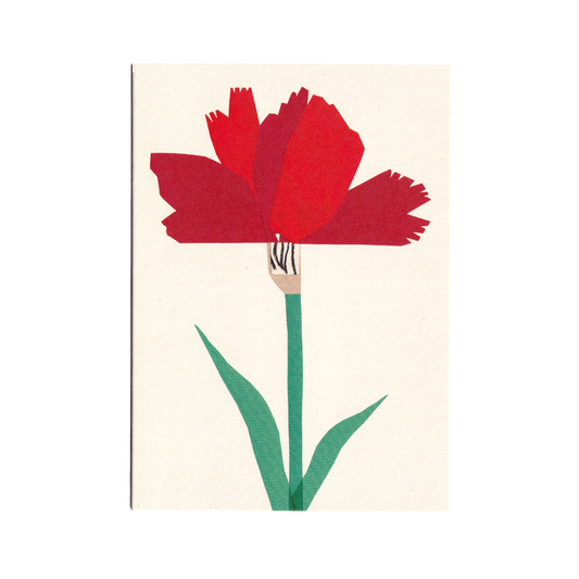 Carnation Greetings Card