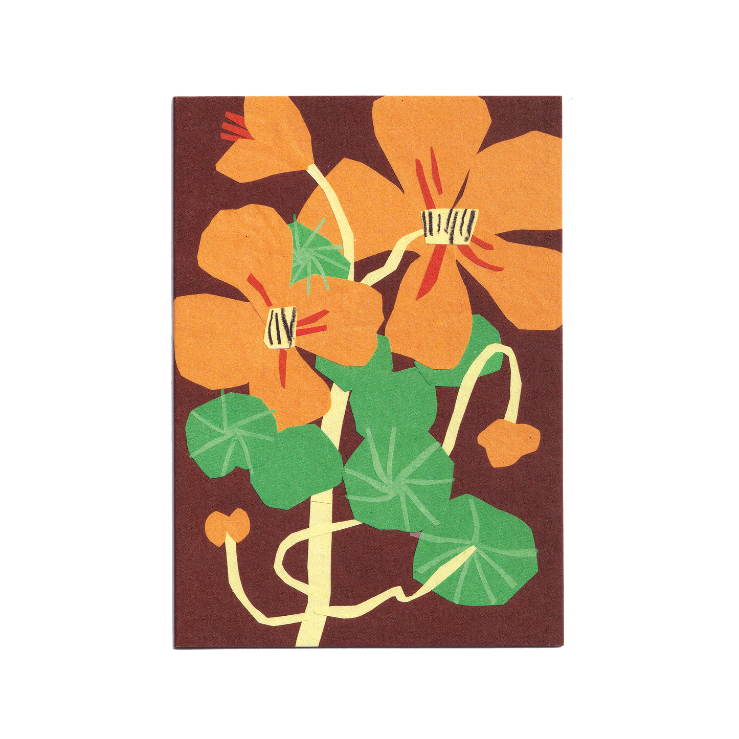 Nasturtiums Greetings Card