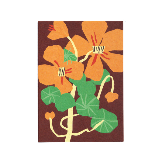 Nasturtiums Greetings Card