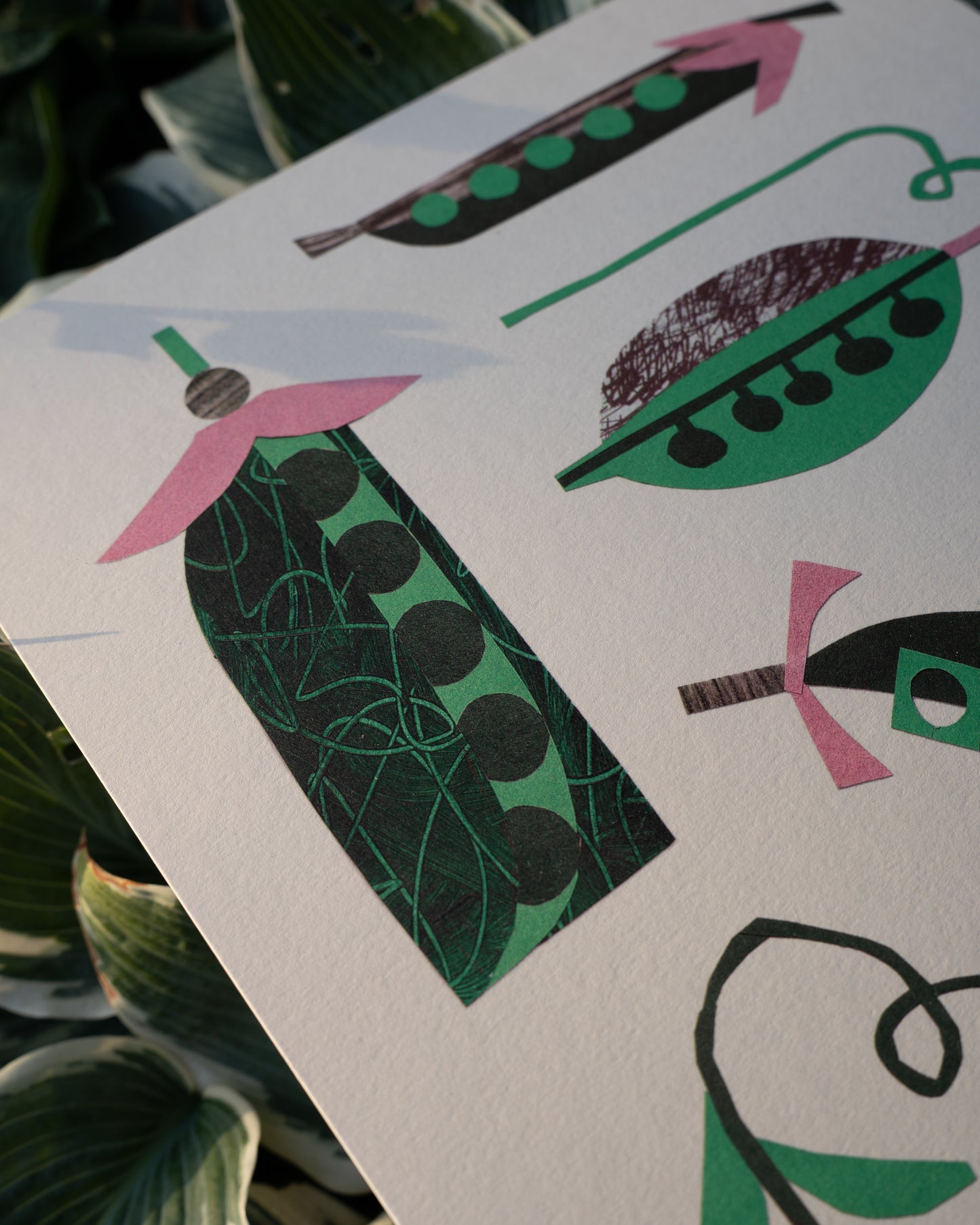 Peas A3 Print