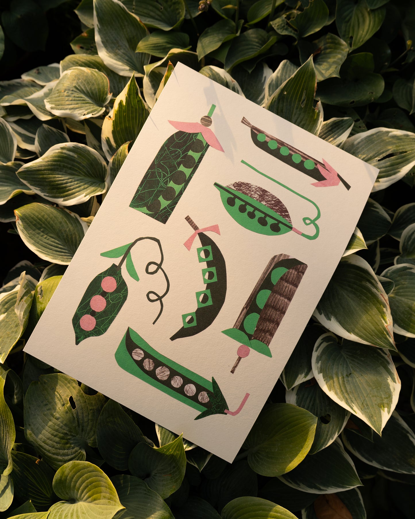 Peas A3 Print