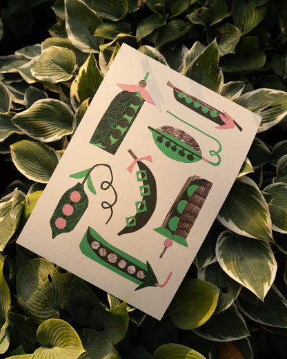Peas A3 Print