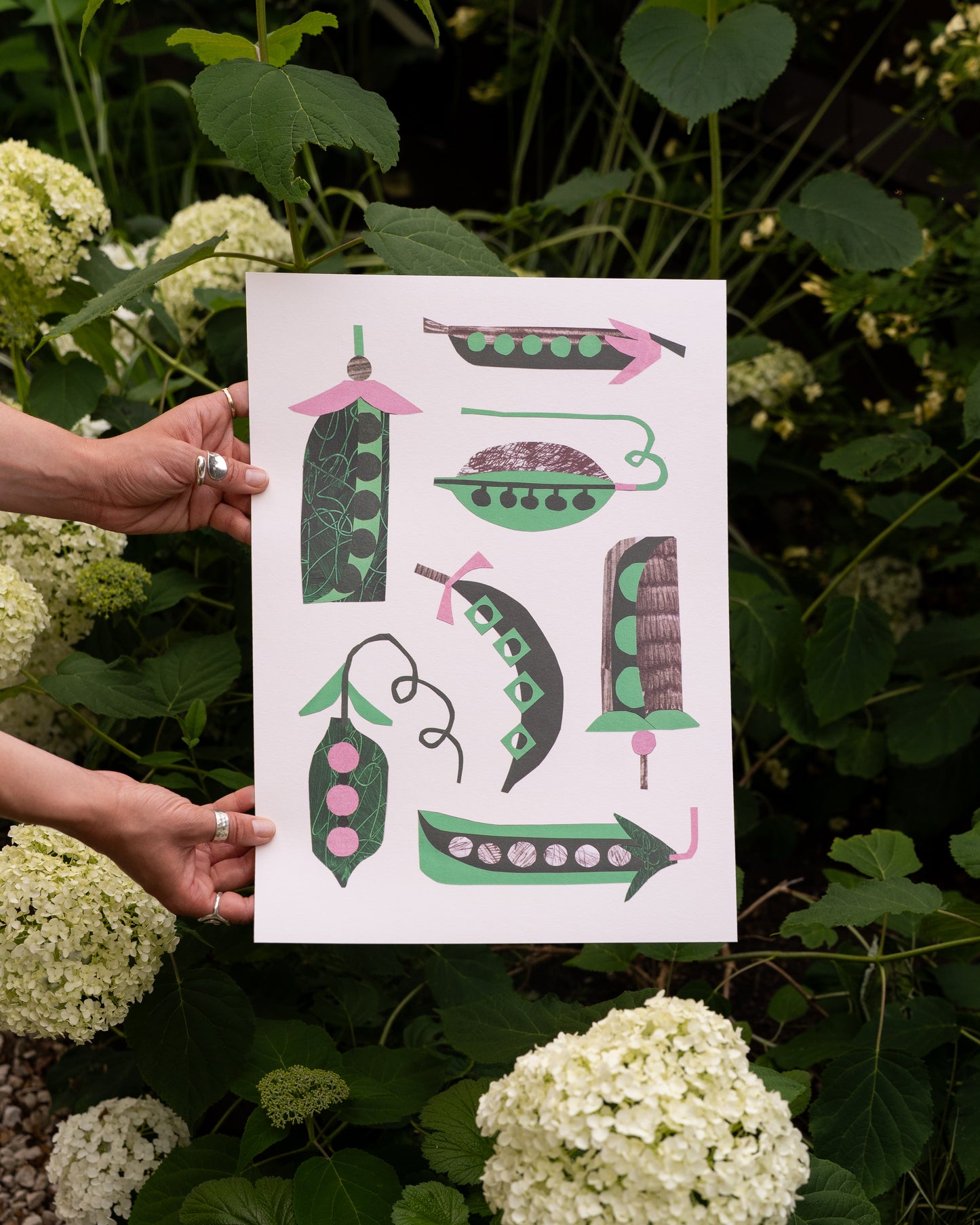 Peas A3 Print