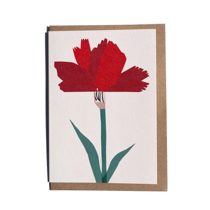 Carnation Greetings Card