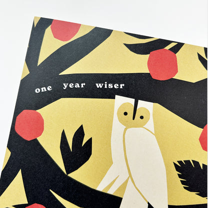 One Year Wiser Owl Greetings Card